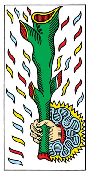 Tarot de Marseille - Ace of Wands